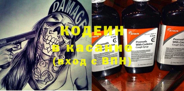 прущие грибы Кинешма