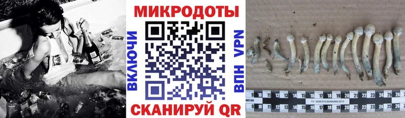 Галлюциногенные грибы прущие грибы  omg ТОР  Бавлы 